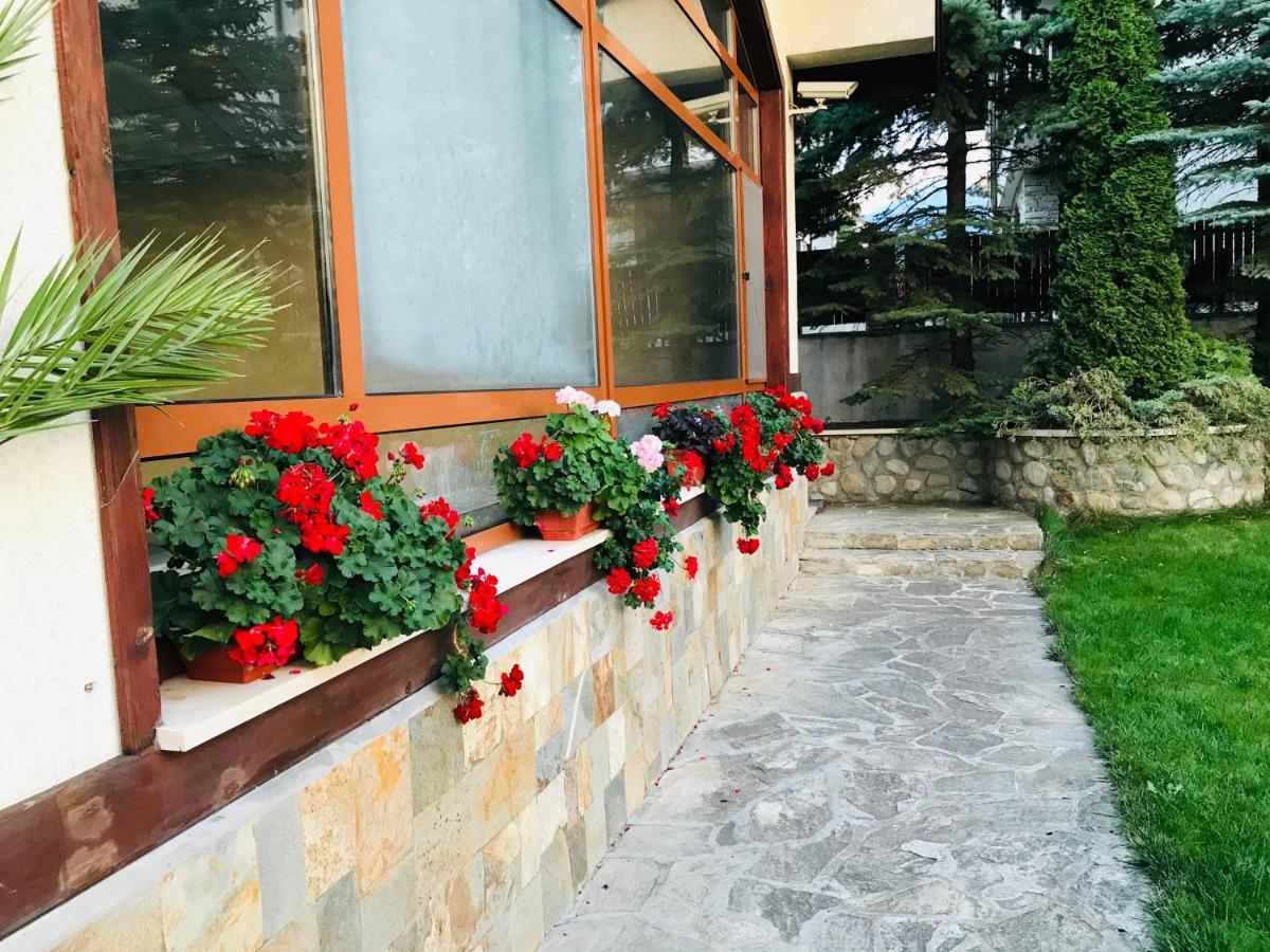 Evelina Palace Hotel Bansko Buitenkant foto