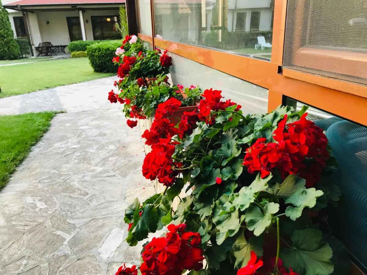 Evelina Palace Hotel Bansko Buitenkant foto