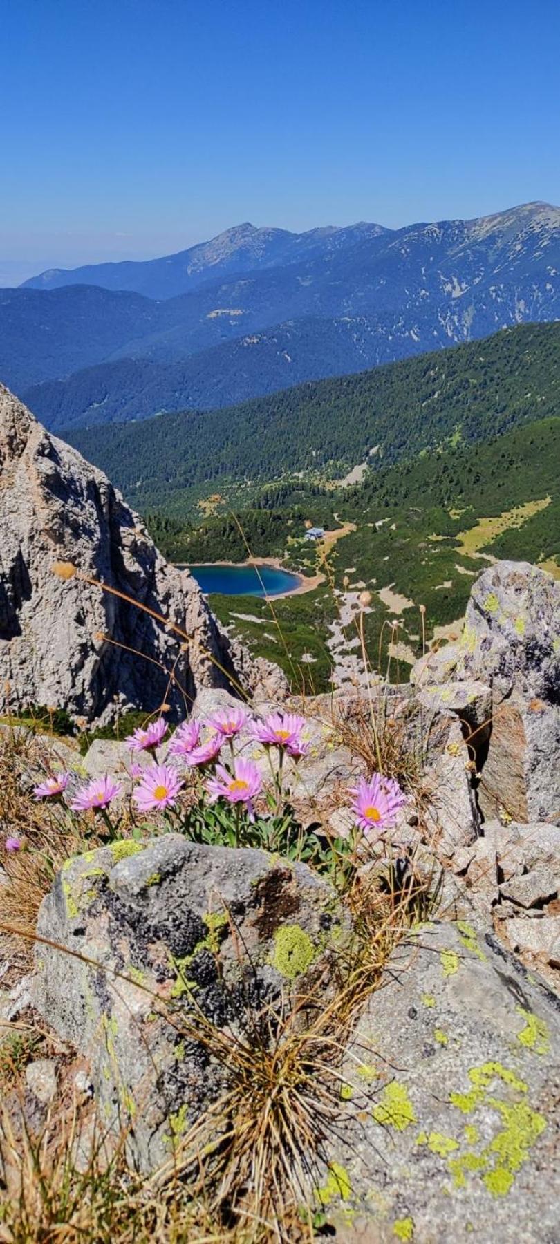 Evelina Palace Hotel Bansko Buitenkant foto